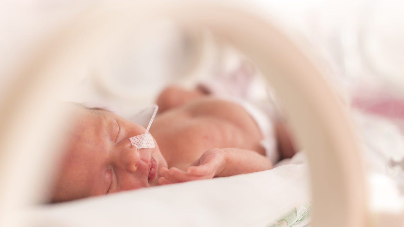 newborn inside of incubator