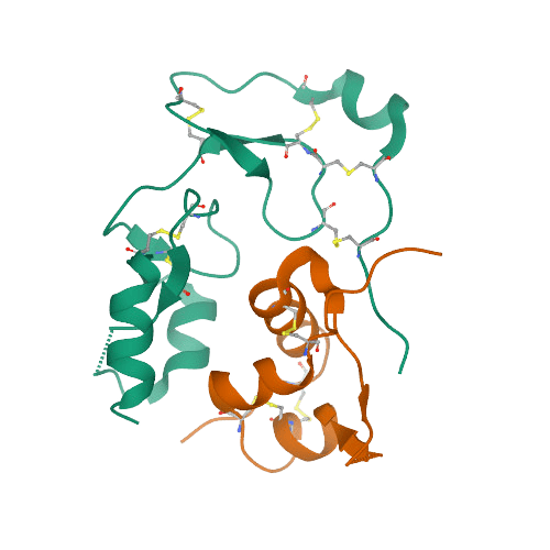 Insulin-like Growth Factor Binding Protein (IBP4)2