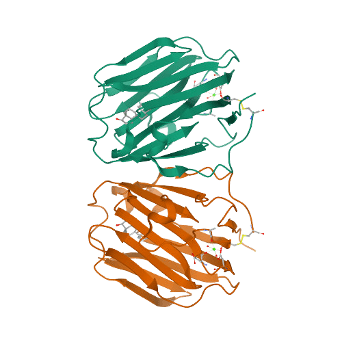 Sex Hormone Binding Globulin (SHBG)3