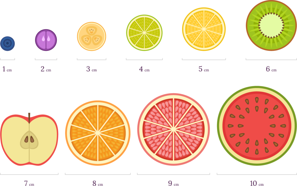 cervix dilation symptoms and size by fruit comparison